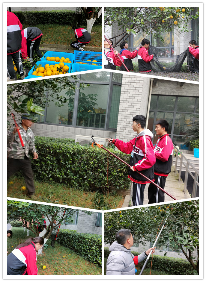 98c895b3a019431a88d420d7ea13c13d.jpg 98c895b3a019431a88d420d7ea13c13d.jpg