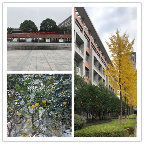 aa0d8f928dcc407bb74be6cb9013a00e.jpg aa0d8f928dcc407bb74be6cb9013a00e.jpg