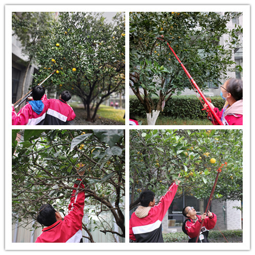 e668f69d95f54e659b9134b666be84bb.jpg e668f69d95f54e659b9134b666be84bb.jpg