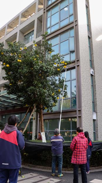 b855b5911b974c5ab390b40c4f8abfc4.png b855b5911b974c5ab390b40c4f8abfc4.png